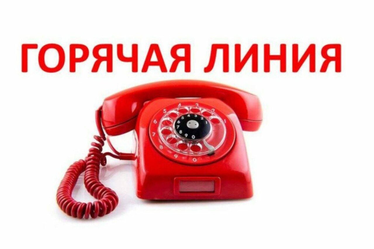 Горячая линия
